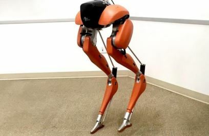 Un robot enseña a andar a otros robots