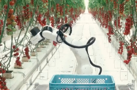 El futuro del sector agrícola está en la robotización de sus cosechas